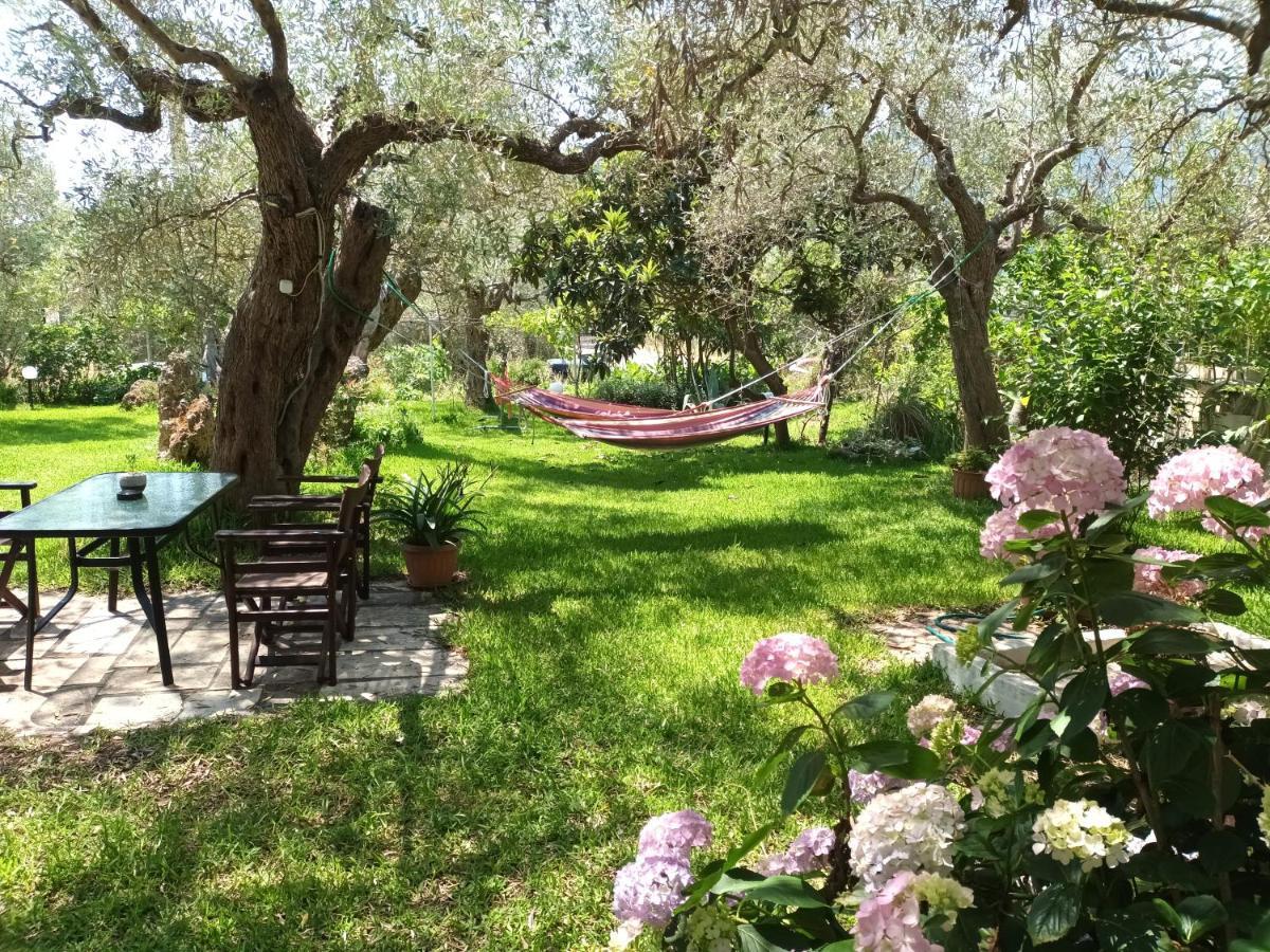 Olive Garden Villas And Apartments Chrysi Ammoudia ห้อง รูปภาพ