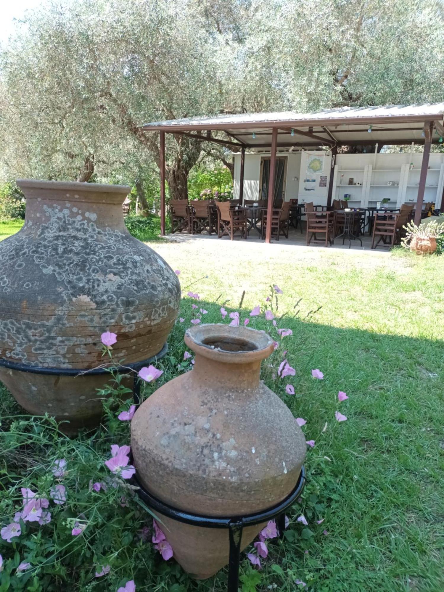 Olive Garden Villas And Apartments Chrysi Ammoudia ห้อง รูปภาพ