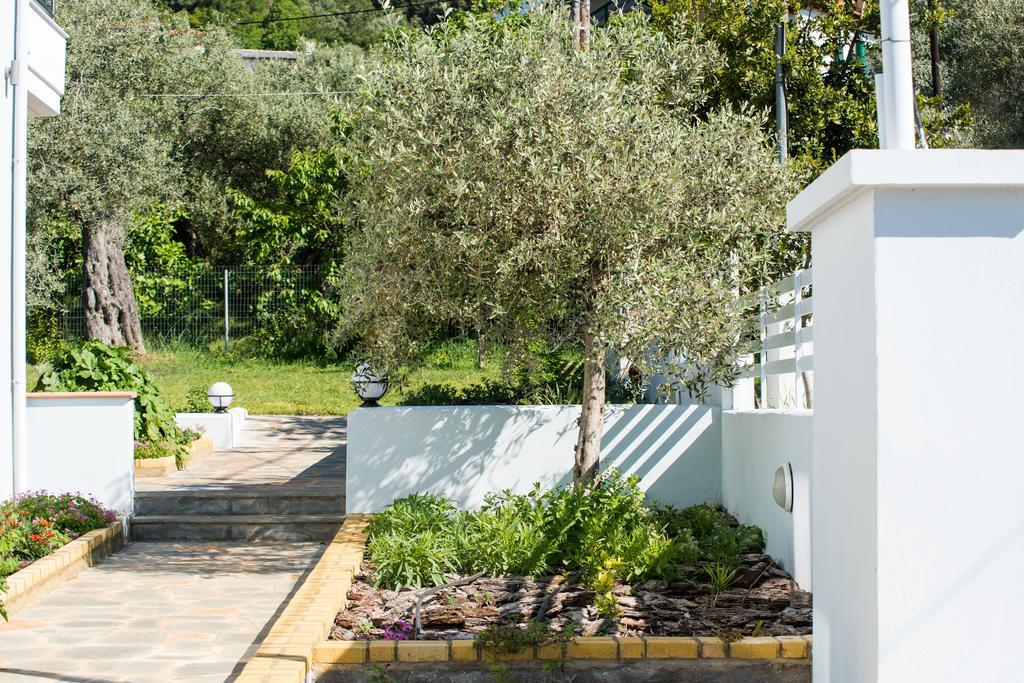 Olive Garden Villas And Apartments Chrysi Ammoudia ภายนอก รูปภาพ